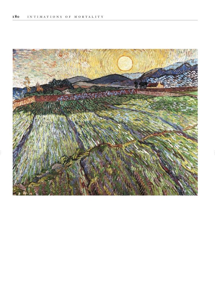 Through the eyes of Vincent Van Gogh _180.jpg