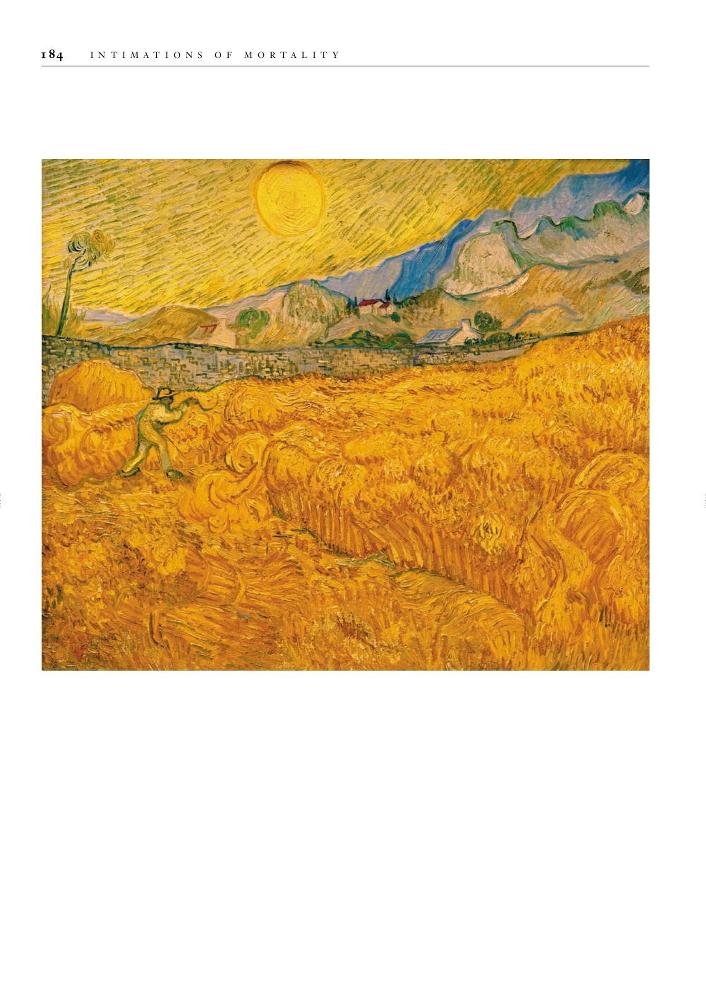 Through the eyes of Vincent Van Gogh _184.jpg