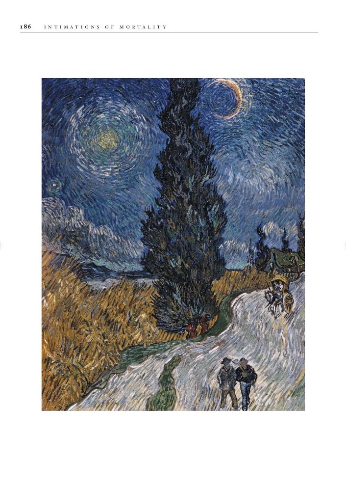 Through the eyes of Vincent Van Gogh _186.jpg