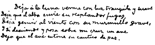 Mi Ultimo Adios pic_9.jpg