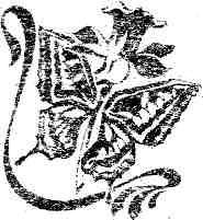 Калиф-аист. Розовый сад. Рассказы img_17.jpeg