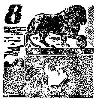 Испытания i_009.jpg