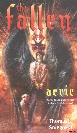 Aerie cover3.jpg