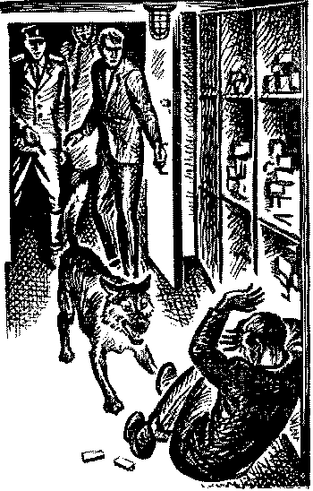 Фронт (илл. К. Швеца) _.png_2
