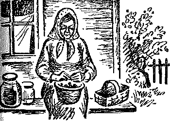 Фронт (илл. К. Швеца) _.png_12