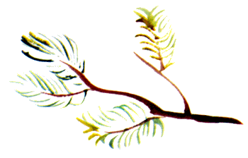 Байкала-озера сказки  Том II  разд.3 i_014.png