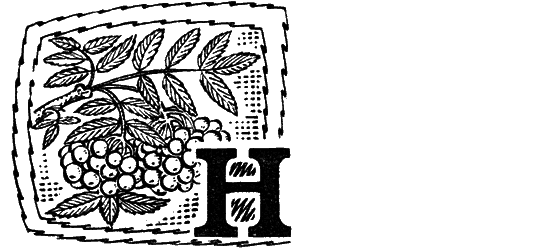 Желтая акация i_017.png