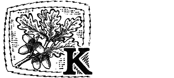 Желтая акация i_033.png