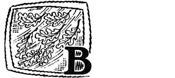 Желтая акация i_036.png