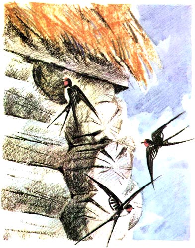 Пожарные собаки i_002.jpg