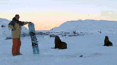 Записки переворачивателя пингвинов. pic_6.jpg
