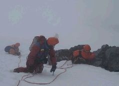 Записки переворачивателя пингвинов. pic_36.jpg