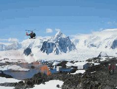 Записки переворачивателя пингвинов. pic_43.jpg