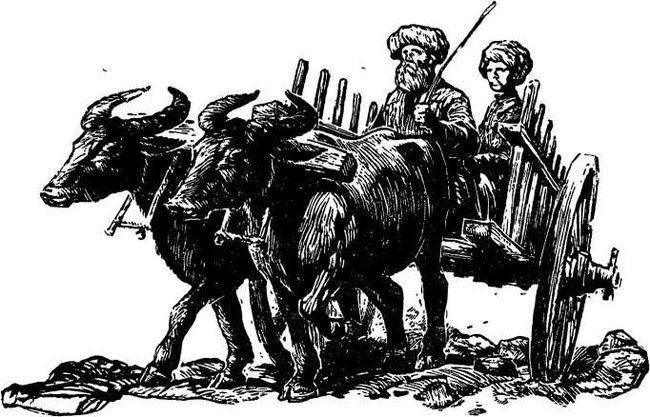Мюрид революции i_011.jpg