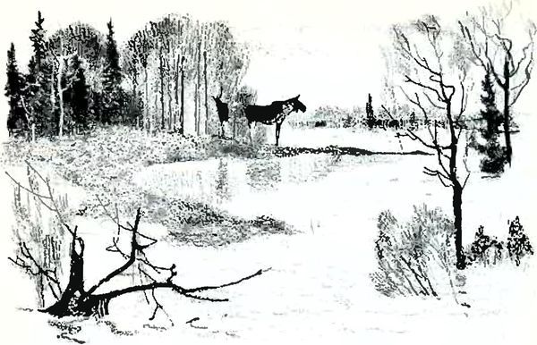 В краю дедушки Мазая i_003.jpg