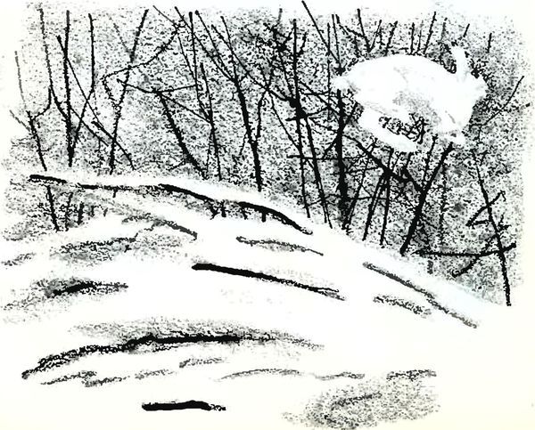 В краю дедушки Мазая i_004.jpg