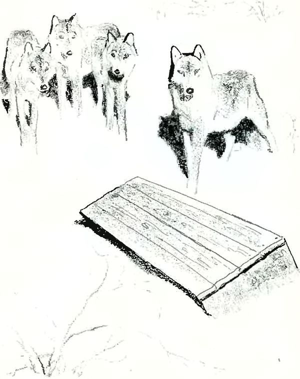 В краю дедушки Мазая i_024.jpg