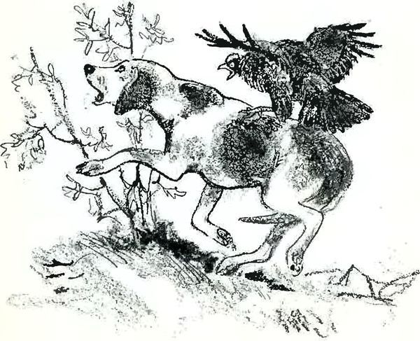 В краю дедушки Мазая i_030.jpg