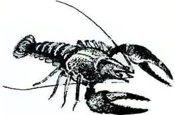 В краю дедушки Мазая i_032.jpg