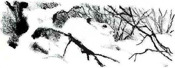 В краю дедушки Мазая i_006.jpg