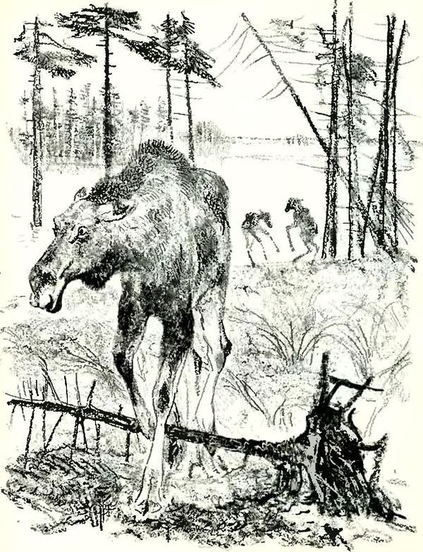 В краю дедушки Мазая i_011.jpg