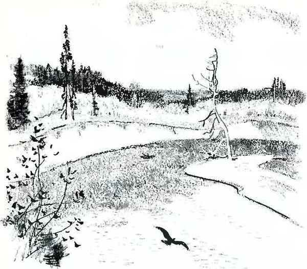 В краю дедушки Мазая i_015.jpg