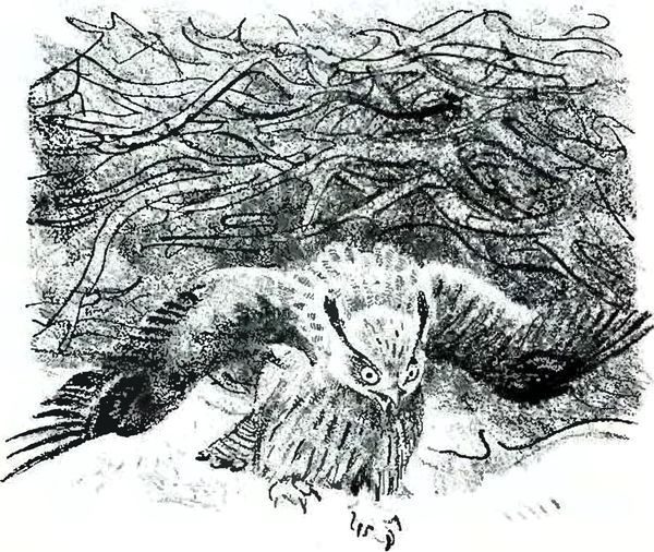 В краю дедушки Мазая i_017.jpg