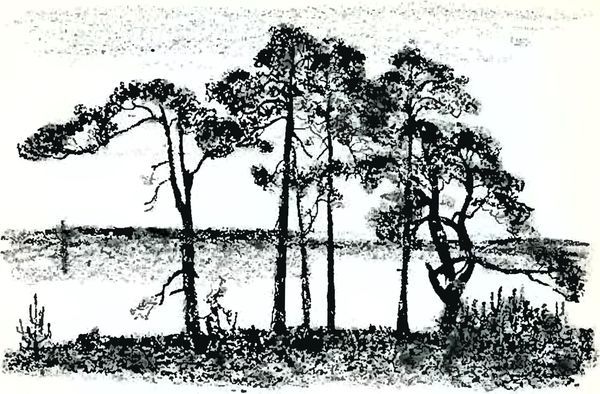 В краю дедушки Мазая i_020.jpg