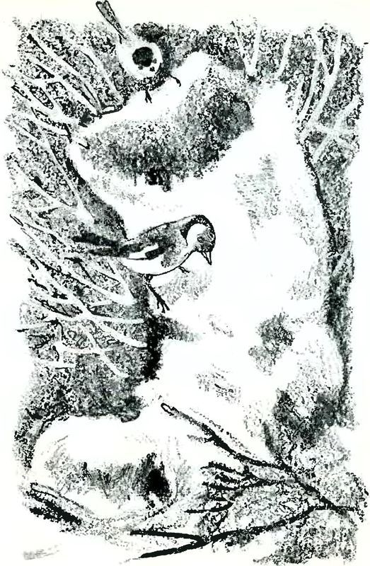 В краю дедушки Мазая i_021.jpg