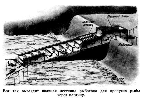 Путешествие в Завтра pic_55.jpg