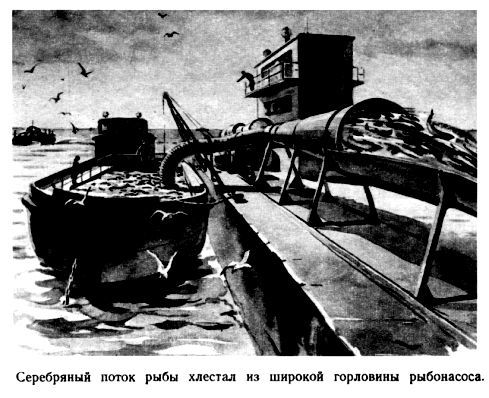 Путешествие в Завтра pic_57.jpg