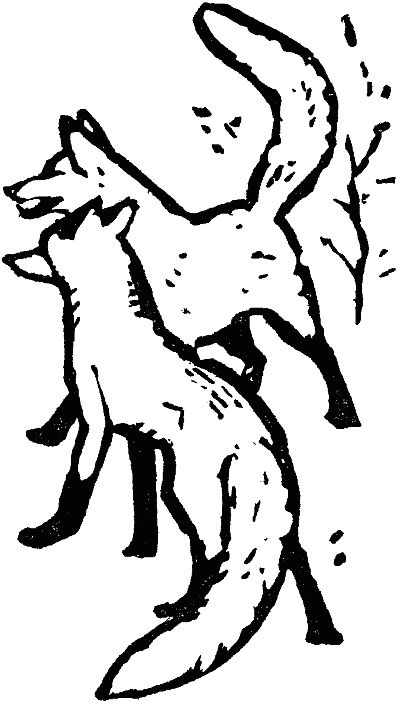В долинах Рингваака [Рыжий Лис] i_005.png