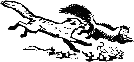В долинах Рингваака [Рыжий Лис] i_003.png