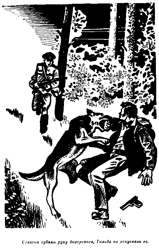 Наш цвет зеленый pic_32.png