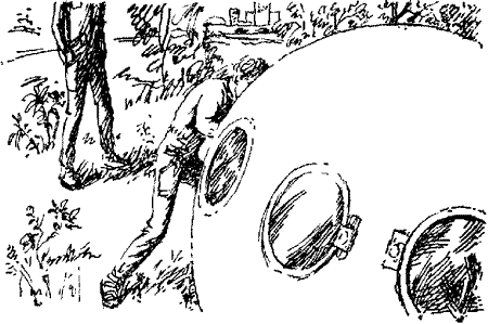 Зоряне вітрило Untitled7.png