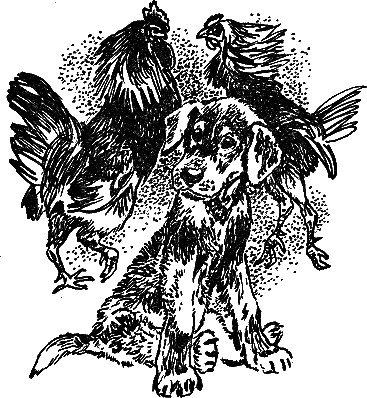 Рассказы и сказки i_003.png