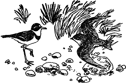 Рассказы и сказки i_004.png