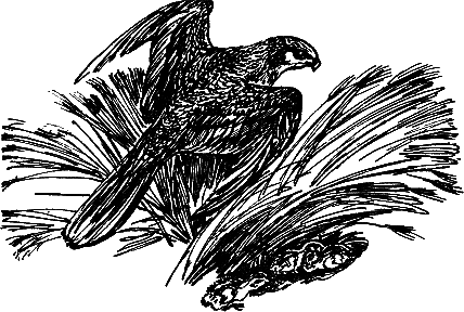 Рассказы и сказки i_015.png