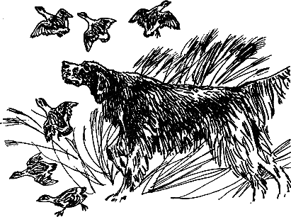 Рассказы и сказки i_016.png