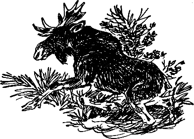 Рассказы и сказки i_020.png