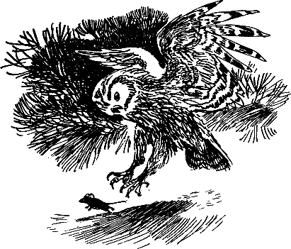 Рассказы и сказки i_023.png