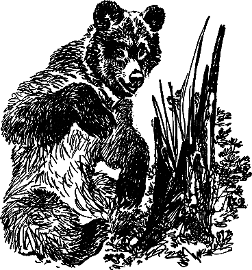 Рассказы и сказки i_028.png