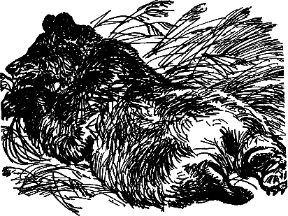 Рассказы и сказки i_030.png