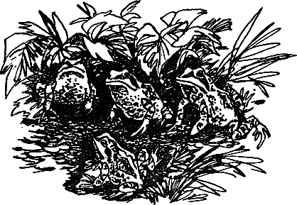 Рассказы и сказки i_039.png