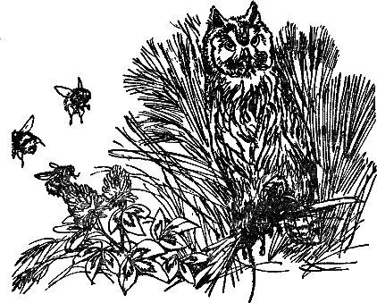 Рассказы и сказки i_006.png