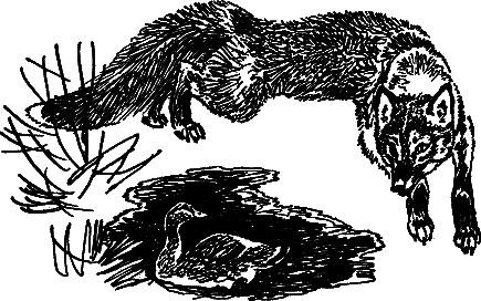 Рассказы и сказки i_008.png