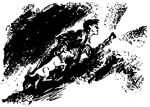 Спрятанный дневник pic_25.png