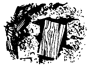Спрятанный дневник pic_28.png