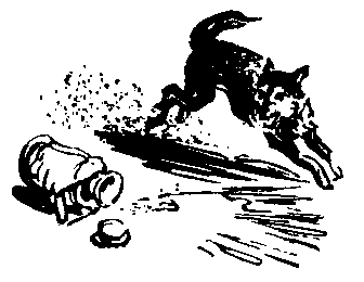 Спрятанный дневник pic_8.png
