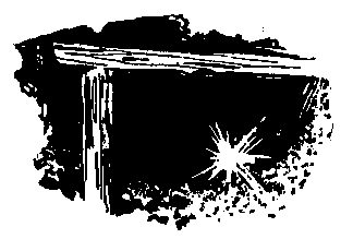 Спрятанный дневник pic_12.png